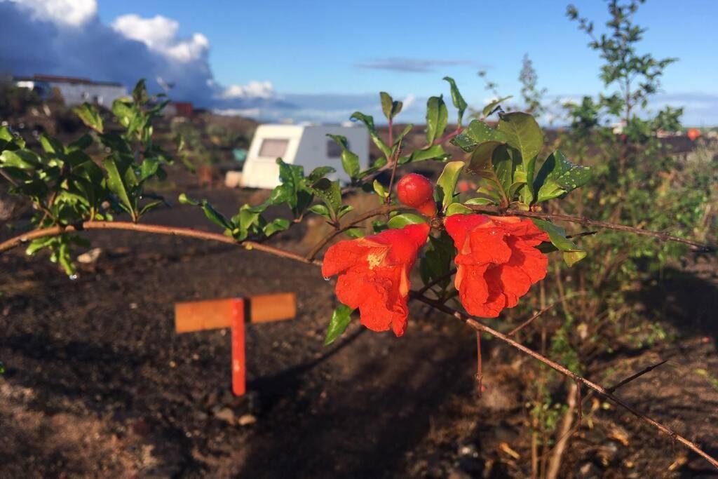 라 파레드 Casa Madre Tierra 아파트 외부 사진