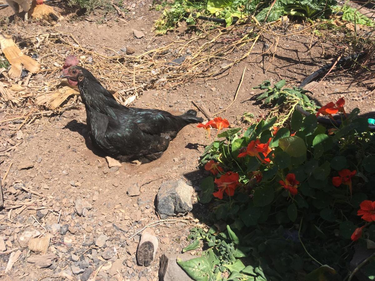 라 파레드 Casa Madre Tierra 아파트 외부 사진